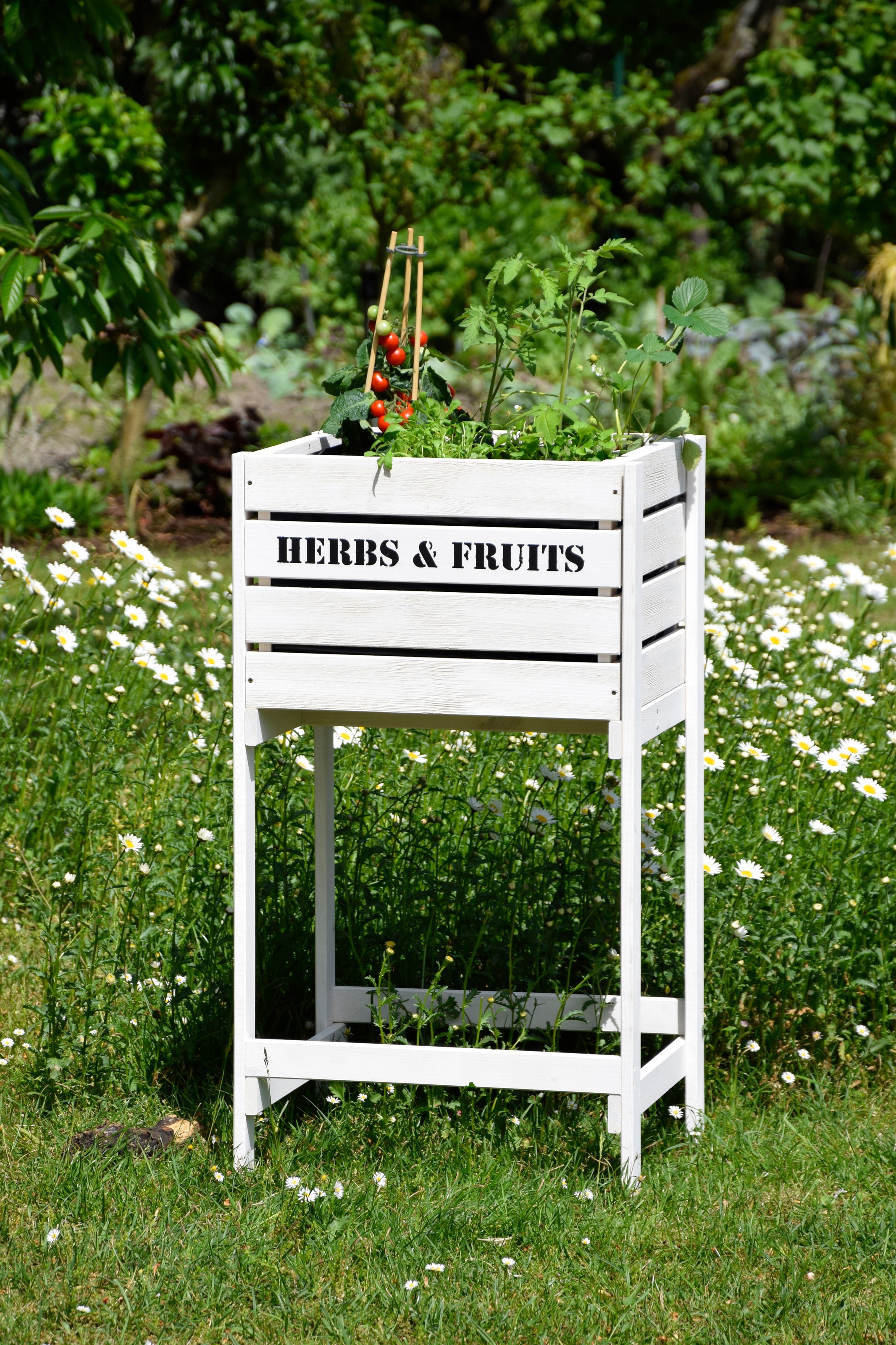 dobar Hochbeet »Obstkiste«, BxTxH: 49x42x90 cm