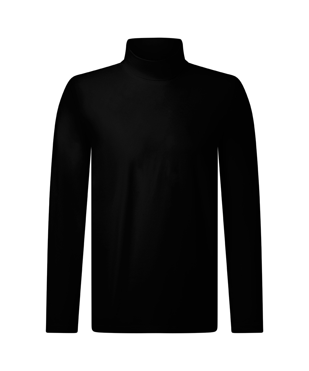 Pierre Cardin Rollkragenshirt unifarben, Baumwolle mit Stretch