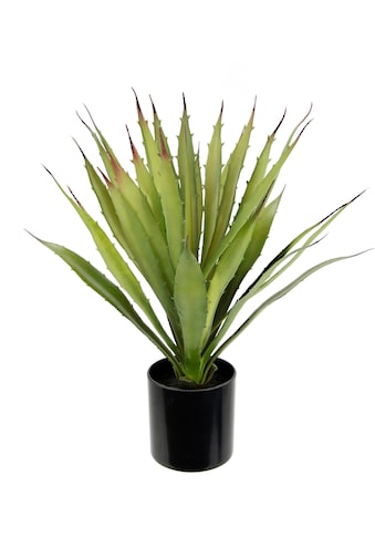 Kunstpflanze »Künstliche Agave Aloe Vera im Topf Kunstpflanze«, Kaktus Kakteen