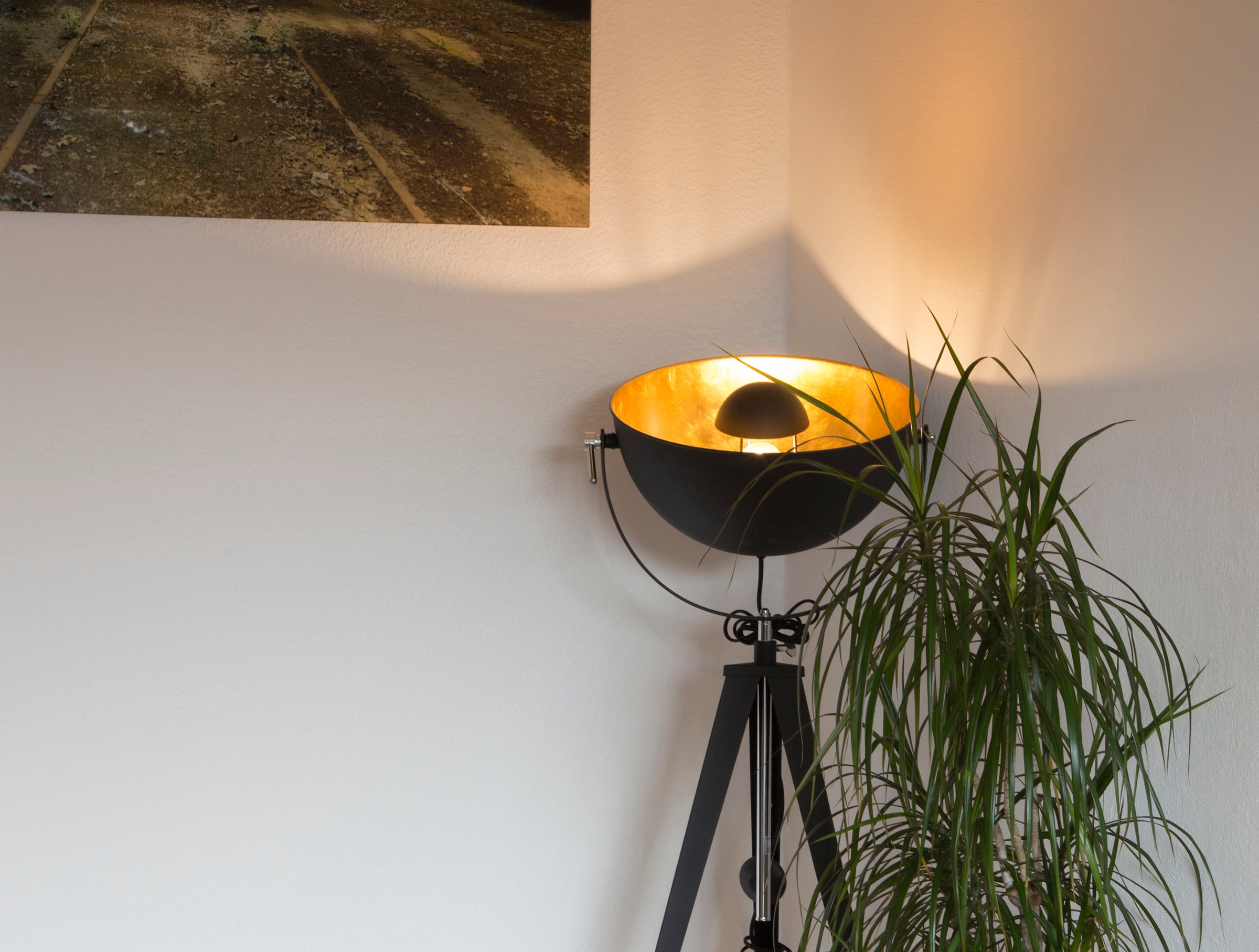 Leonique Stehlampe online | Garantie 1 3 mit Jahren XXL »Elenoire«, schwarz goldfarben verstellbar, Stehleuchte, flammig-flammig, Höhe / kaufen