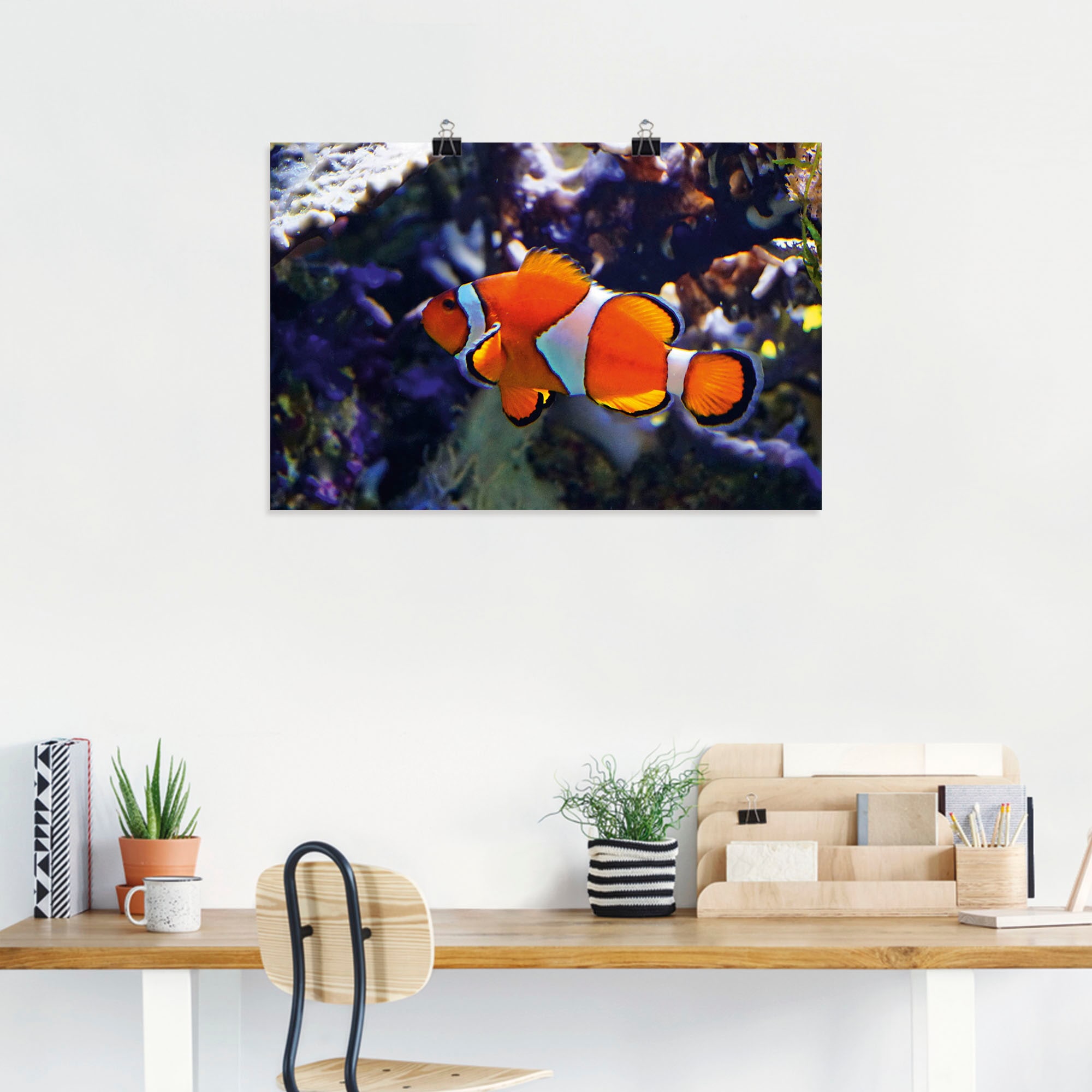Artland Wandbild »Clownfisch«, Wassertiere, (1 St.), als Alubild, Leinwandbild, Wandaufkleber oder Poster in versch. Größen
