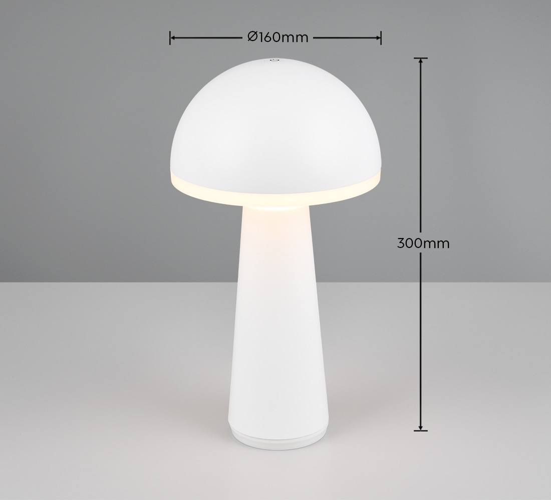 REALITY Leuchten LED Außen-Tischleuchte »FUNGO«, 1 flammig, Leuchtmittel LED-Board | LED fest integriert, Outdoor Akku Tischlampe inkl Ladestation USB-C, Lichtfarbe einstellbar
