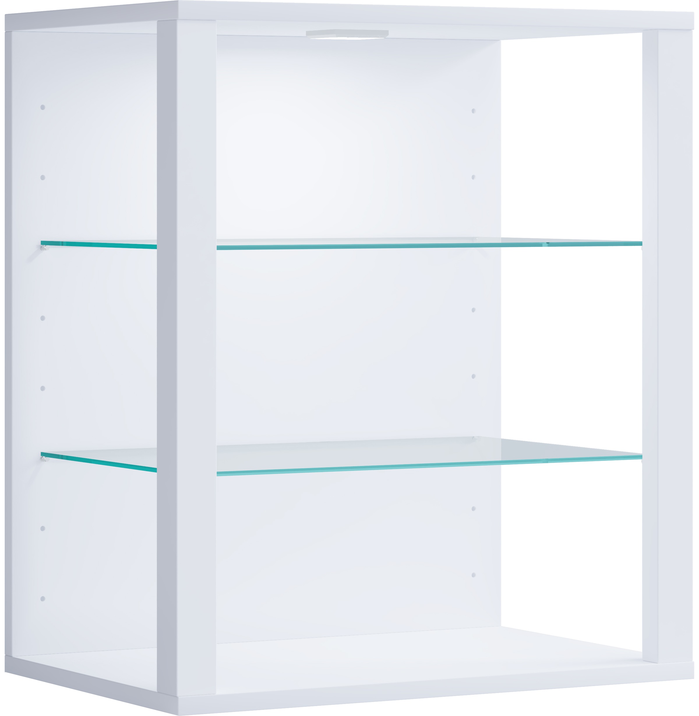VCM Wandregal »Holz Glas Stand Vitrine Sammelvitrine Glasol SW«