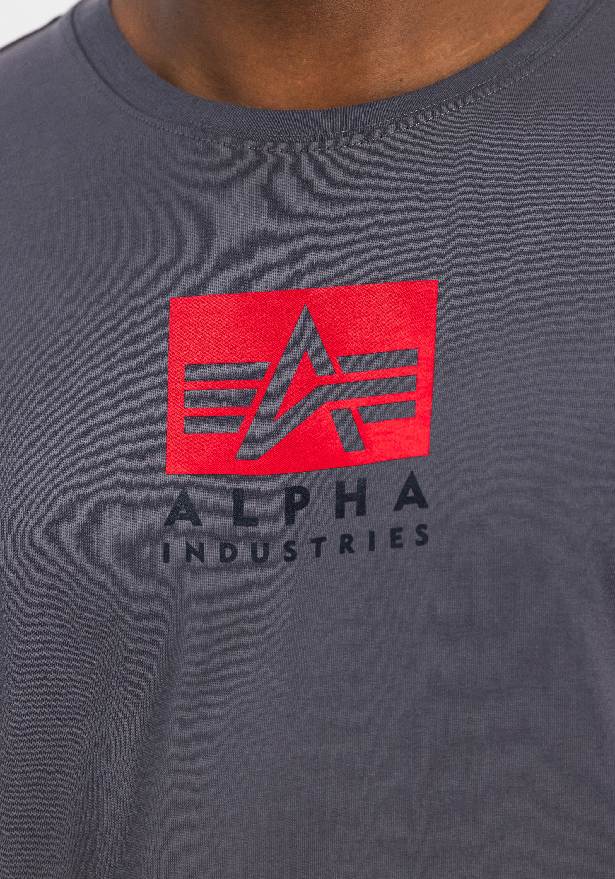 Alpha Industries T-Shirt »Satin Logo T-Shirt«