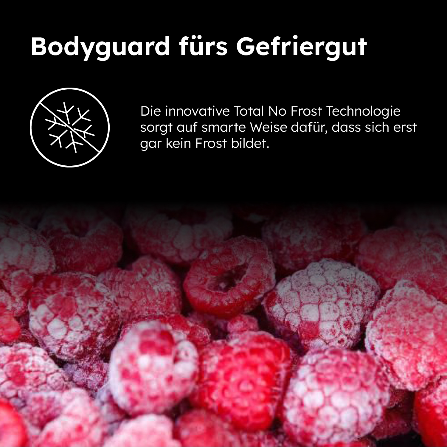 Haier Gefrierschrank »H4F306WAH1«, 190,0 cm hoch, 60,0 cm breit, TWIST ICE MAKER
