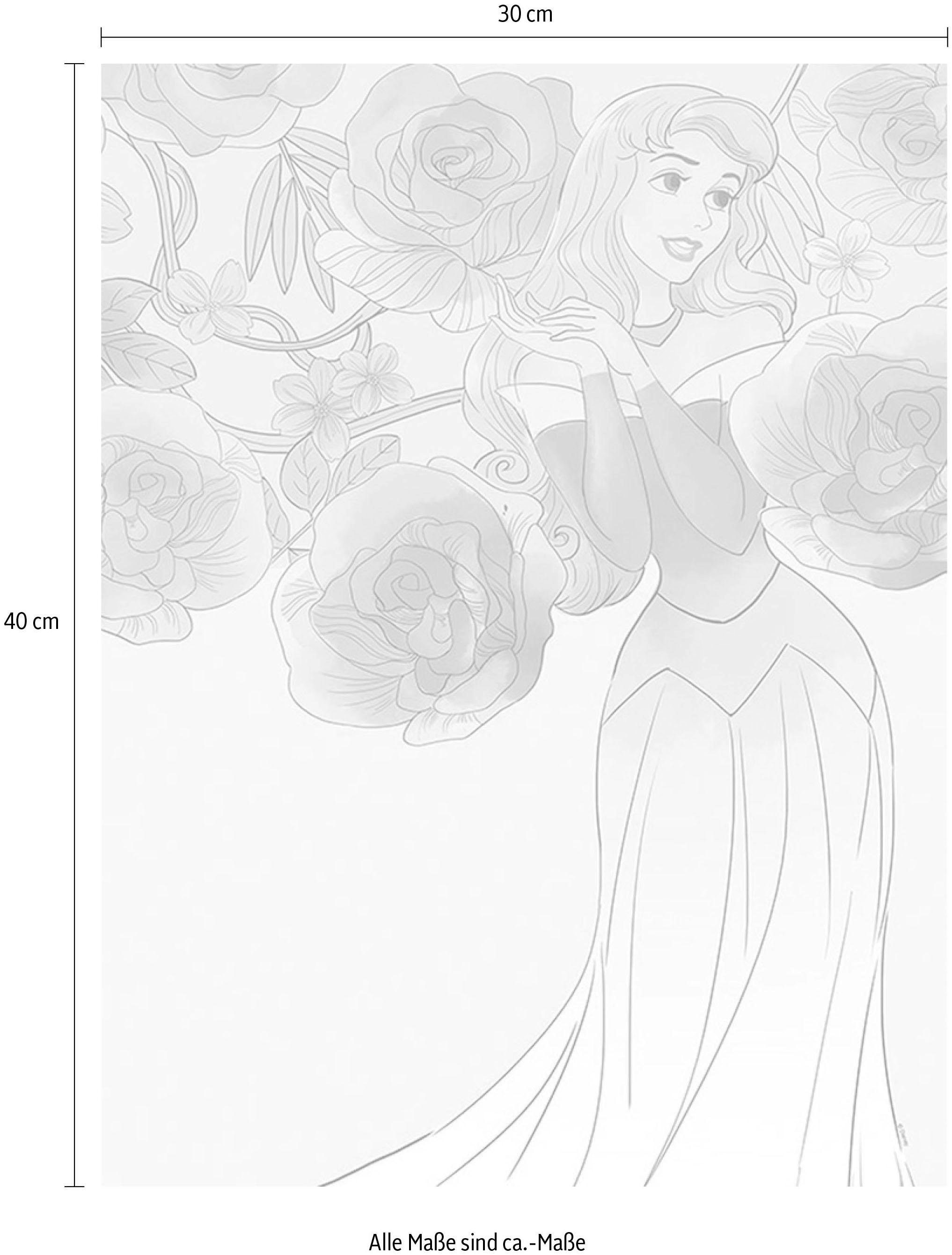 Komar Poster »Sleeping Beauty Roses«, Disney, (1 St.), Kinderzimmer,  Schlafzimmer, Wohnzimmer online kaufen | mit 3 Jahren XXL Garantie