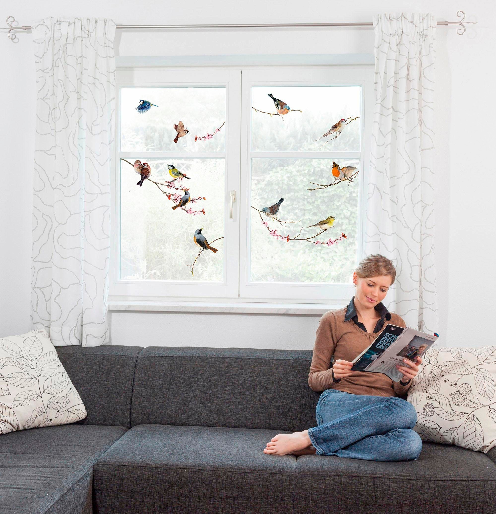 kaufen Komar online »Vögel«, 31x31 XXL 3 Jahren selbsthaftend Fensterbild Garantie cm, | mit