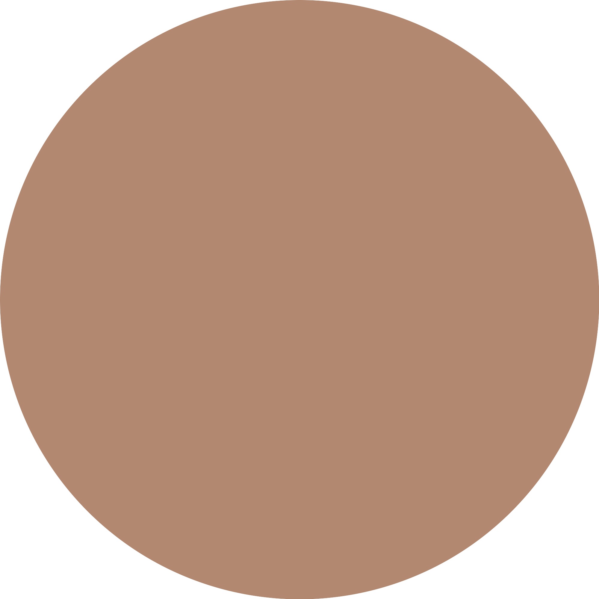 Catrice Foundation »Invisible Cover Foundation«, (Set, 3 tlg.), mit langanhaltendem Finish