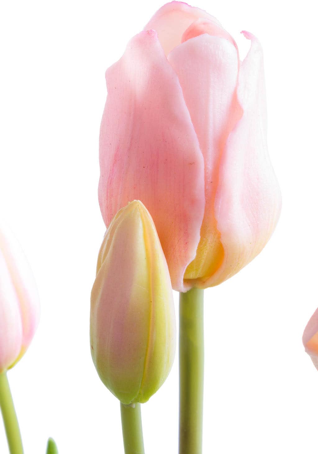 Botanic-Haus Kunstblume »Tulpenbündel« auf Rechnung kaufen