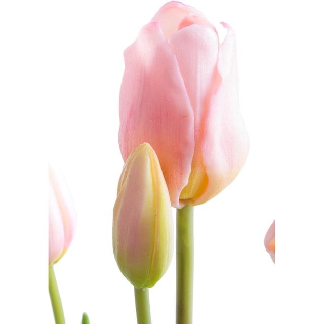 »Tulpenbündel« kaufen auf Rechnung Botanic-Haus Kunstblume