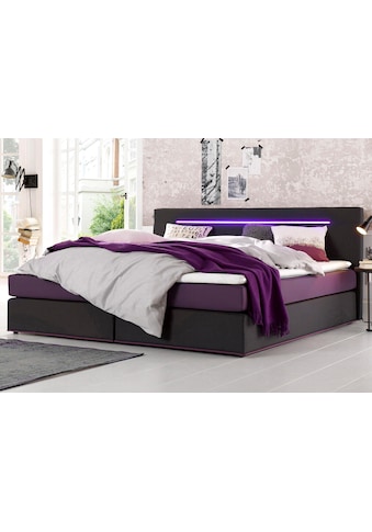 COLLECTION AB Boxspringbett, inkl. LED-Beleuchtung mit Farbwechsel und Topper kaufen