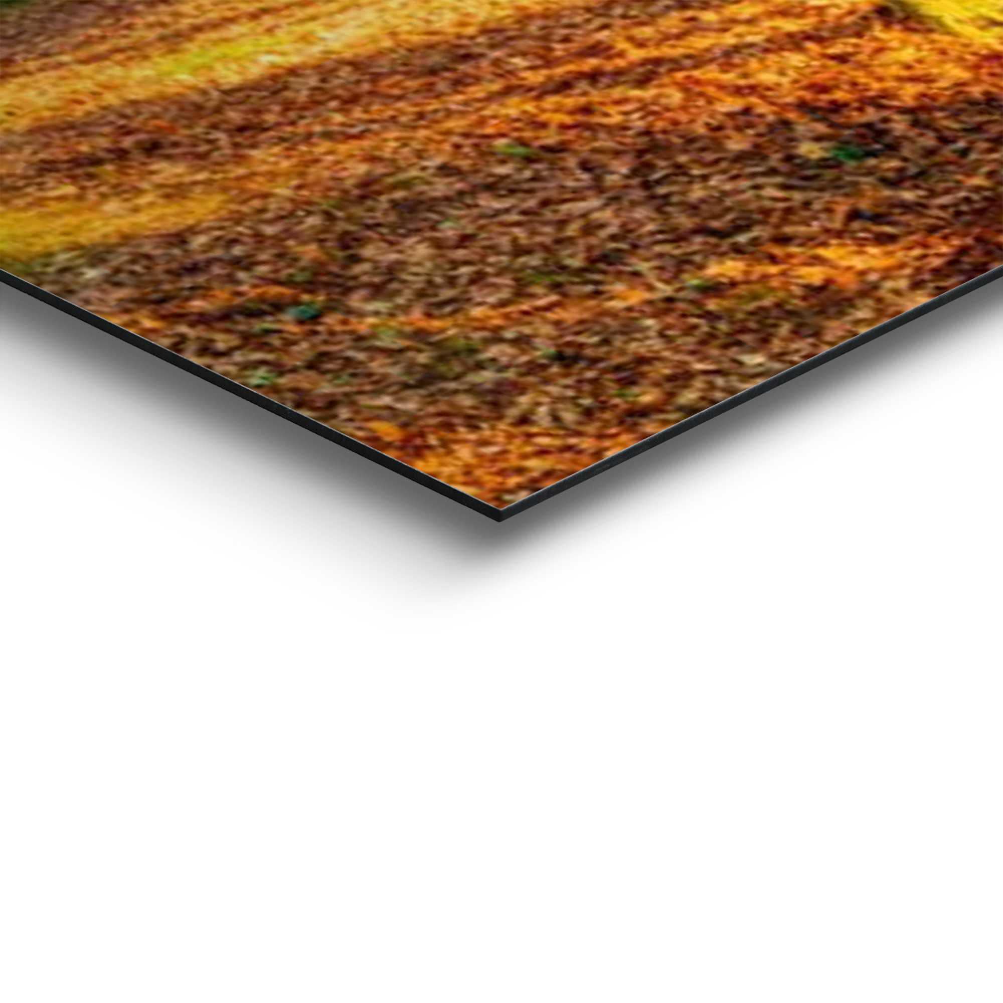 Reinders! Wandbild »Sonniger Wald«