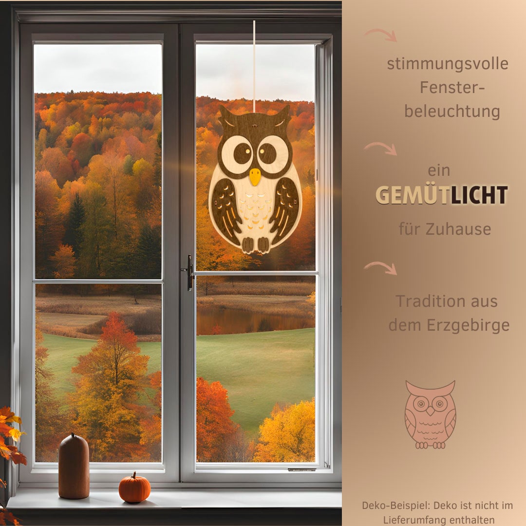 Weigla Beleuchtetes Fensterbild »Eule, Fensterdekoration aus Holz, NATUR-BRAUN, Made in Germany« Erzgebirge garantiert, Herbstdeko Innen Holz, Fensterbeleuchtung