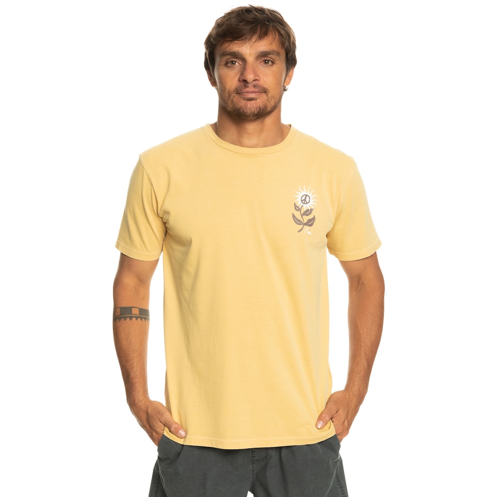 Quiksilver T-Shirt »Sun Bloom«
