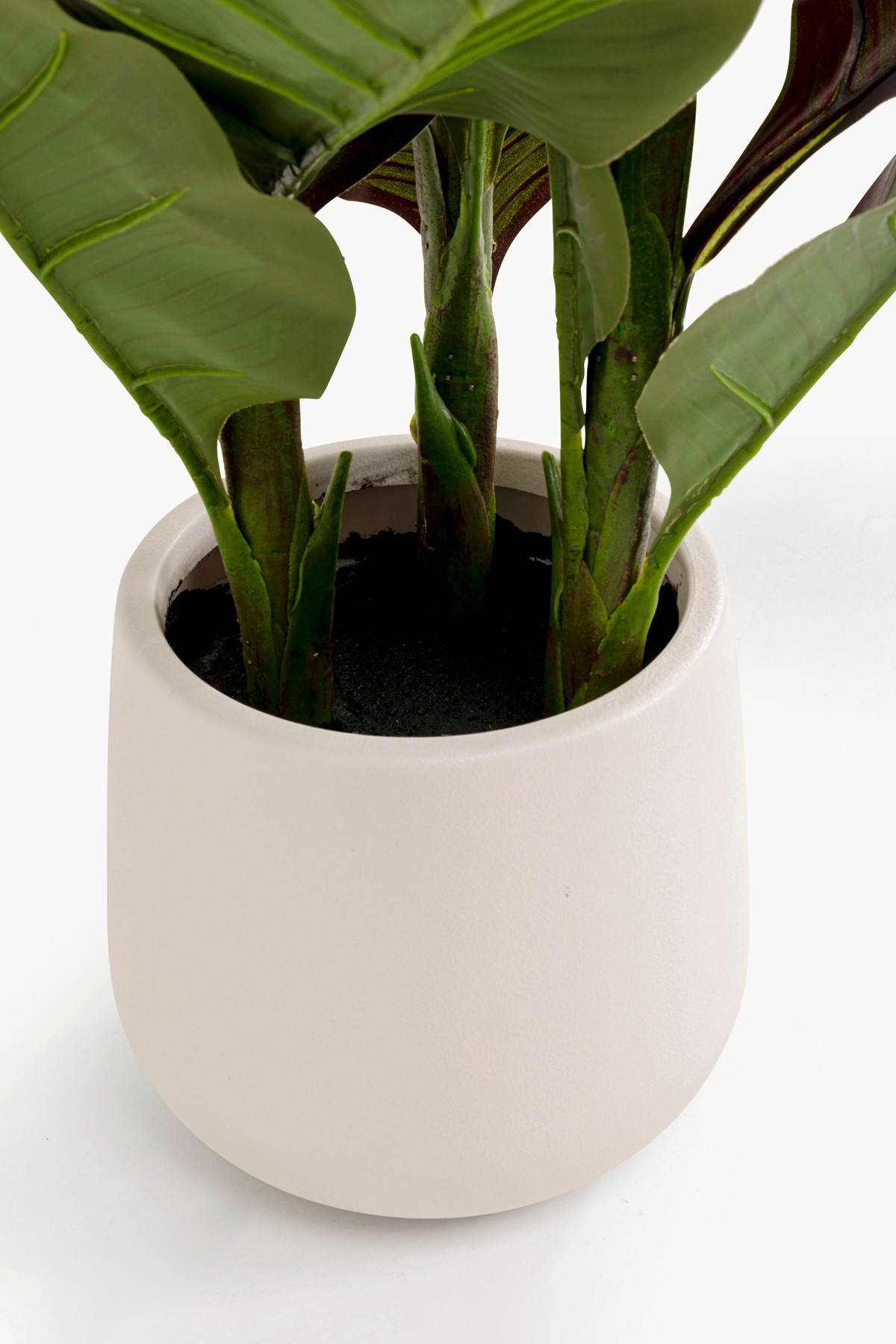 Kare Design Künstliche Zimmerpflanze »Deko-Pflanze Canna Lily« 115 oder 165 cm Höhe