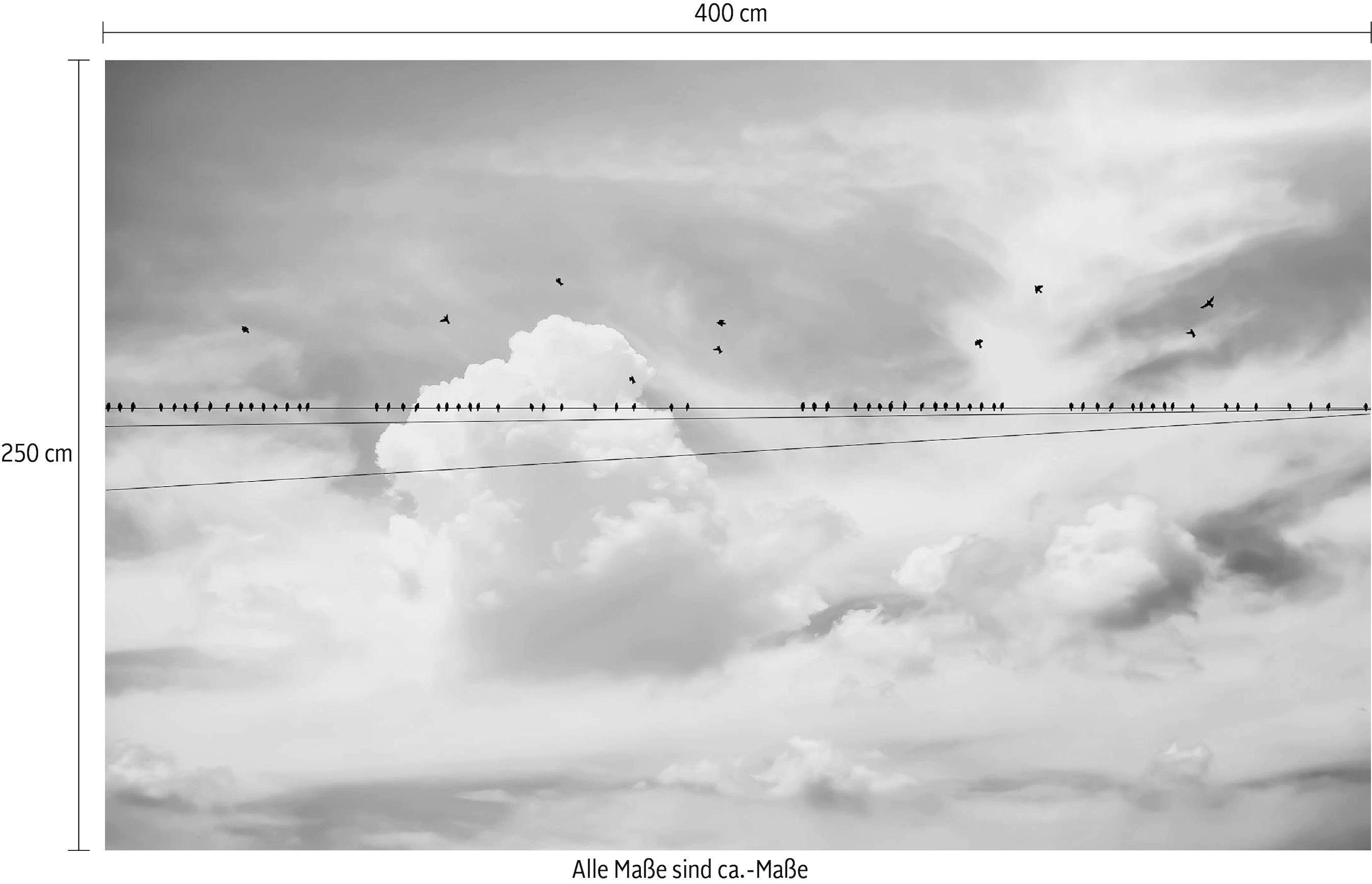 Komar Vliestapete »Digitaldruck Vlies - Cloud Wire - Größe 400 x 250 cm«, bedruckt, Wohnzimmer, Schlafzimmer