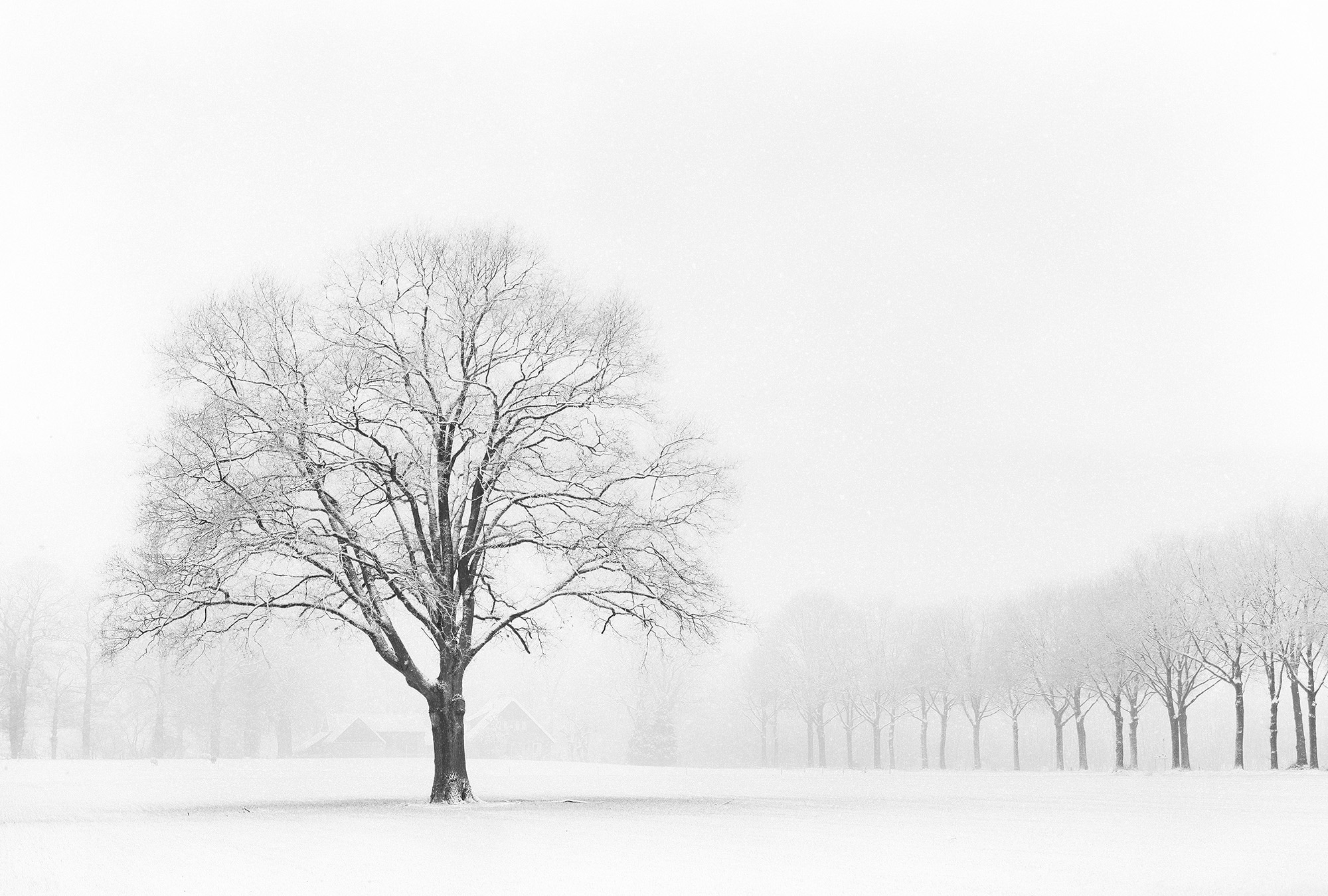 Fototapete »Standing Alone«, Vlies, Wand, Schräge