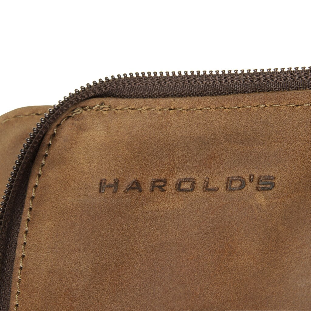 Harold's Laptoprucksack »2IN1«