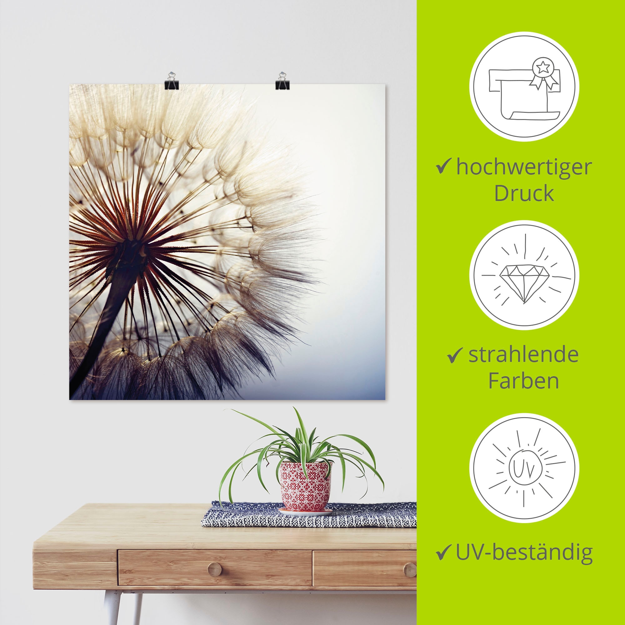 Artland Wandbild »Große Pusteblume«, Blumen, (1 St.), als Alubild, Outdoorbild, Leinwandbild, Poster, Wandaufkleber