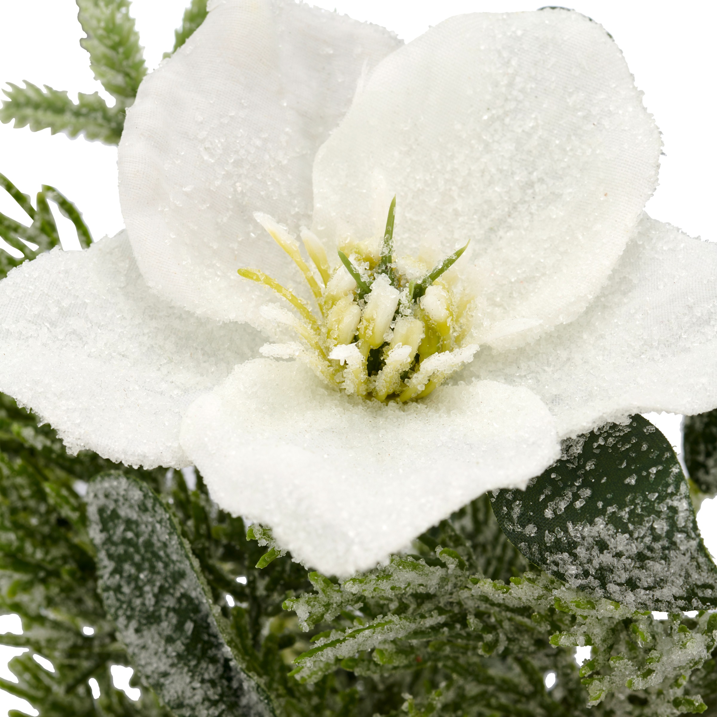 Creativ green Winterliche Kunstpflanze »Arrangement mit Christrose« mit üppiger Blütenpracht