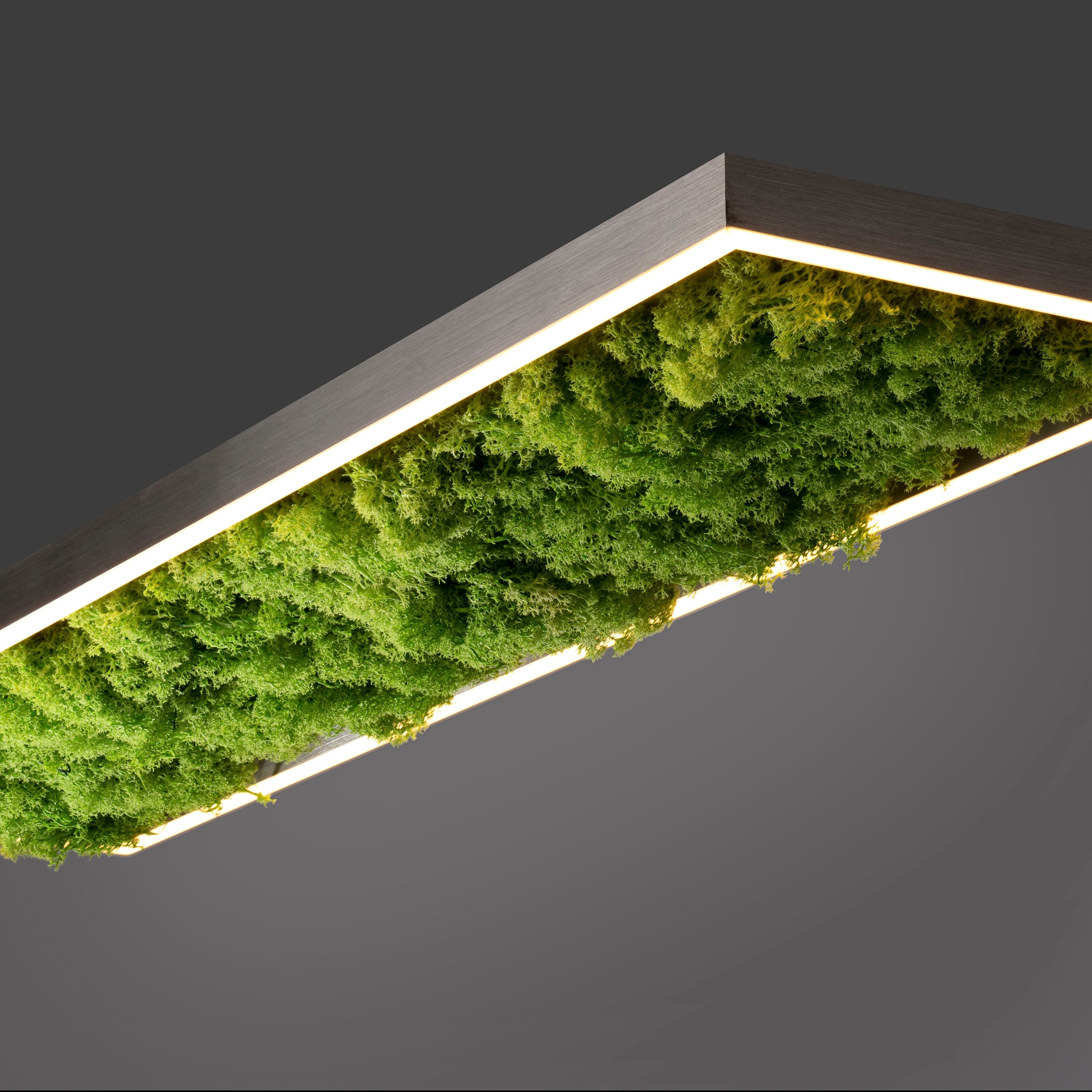 JUST LIGHT Deckenleuchte »GREEN KNUT«, 1 flammig, Leuchtmittel LED-Board | LED fest integriert