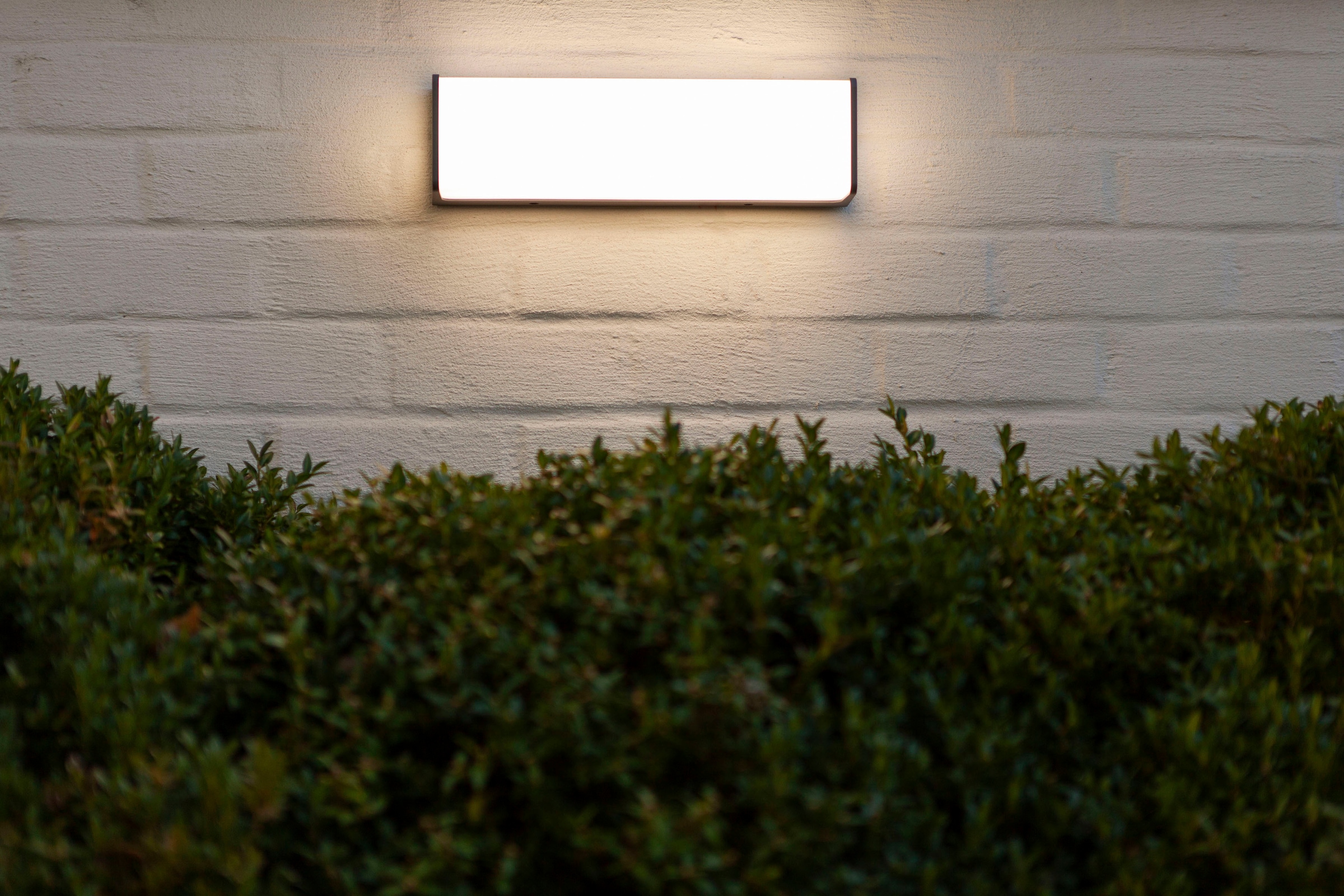 LUTEC LED Außen-Wandleuchte »DOBLO« online XXL Jahren | Garantie 3 mit kaufen
