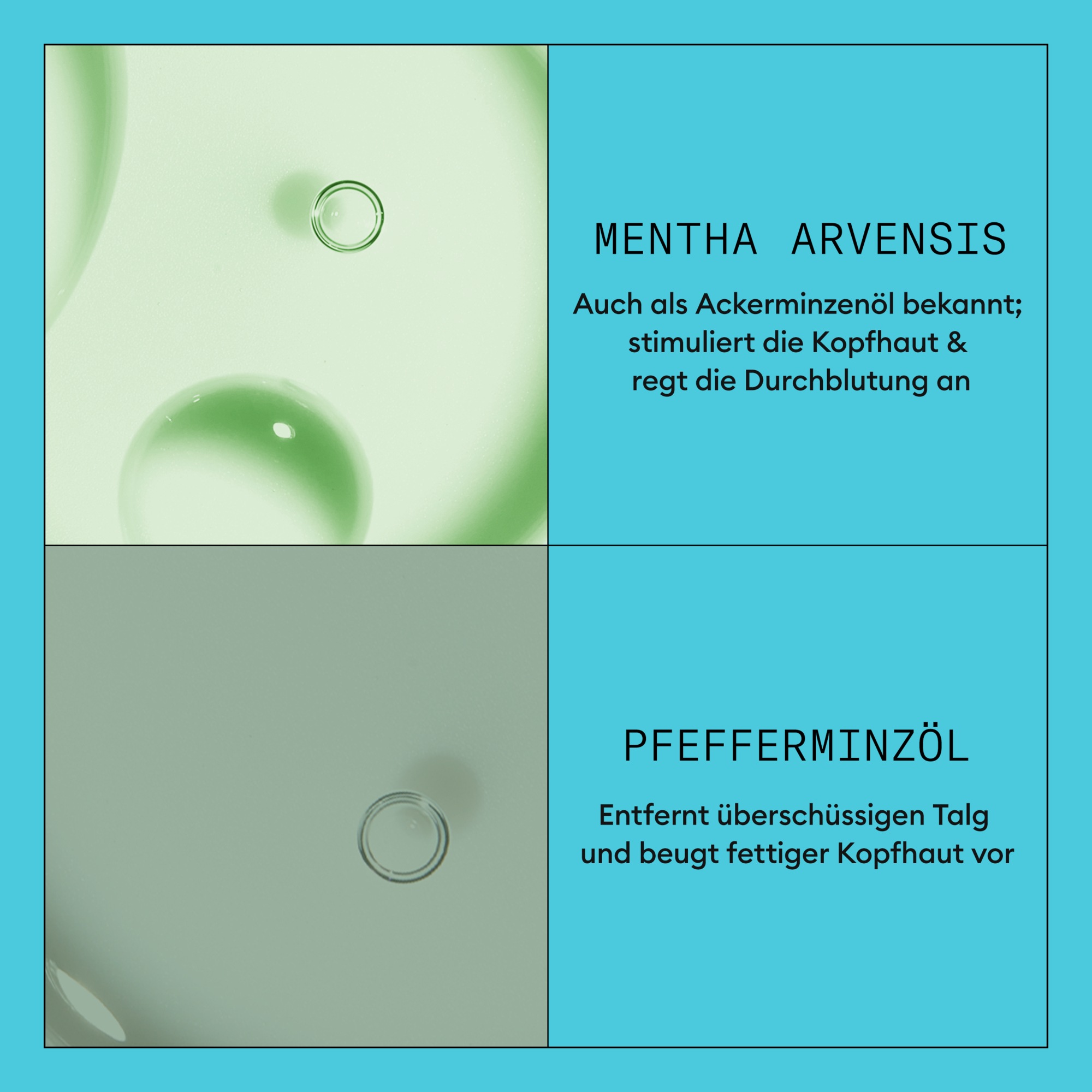 Nioxin Kopfhaut-Pflegekur »System 3 Conditioner« mehr Volumen, schützt vor Haarbruch, speziell für coloriertes Haar