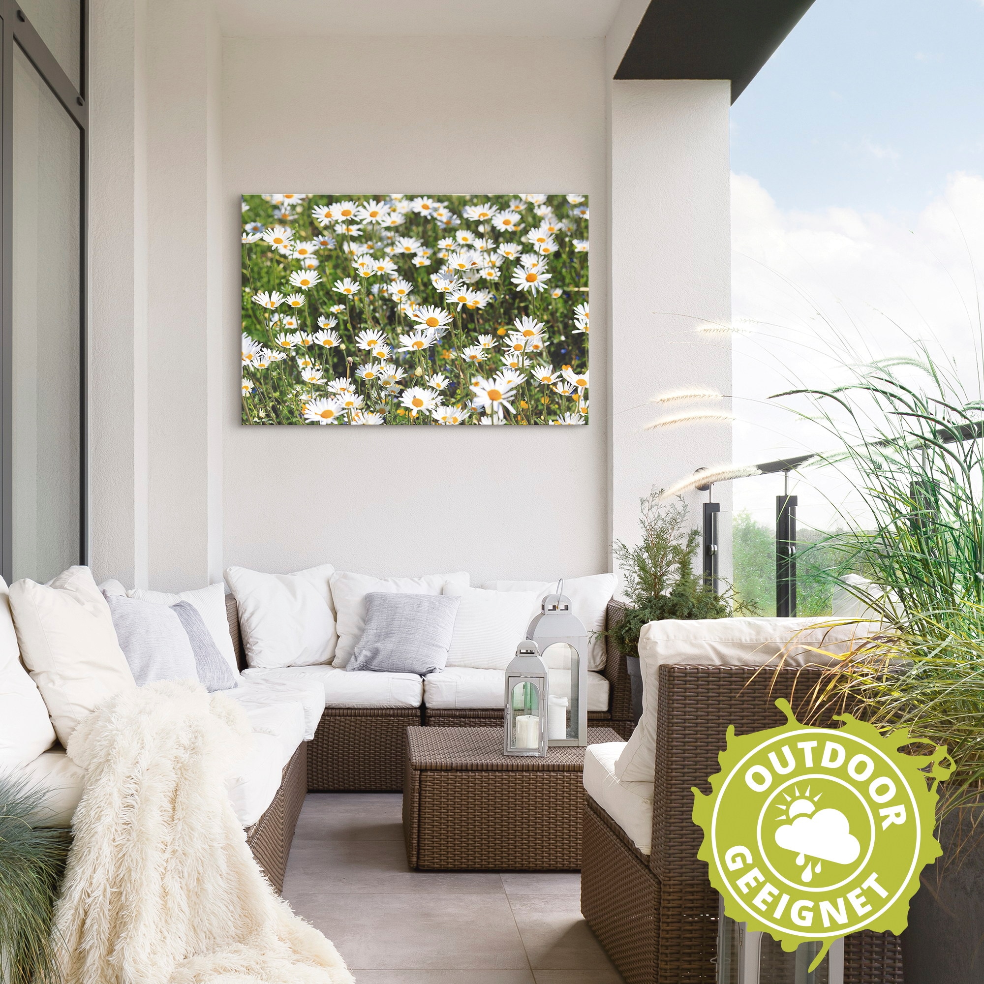 Artland Alu-Dibond-Druck »Gänseblümchen« Blumen 1 Stk. tlg. für Innen- und Außenbereich geeignet, Outdoorbild