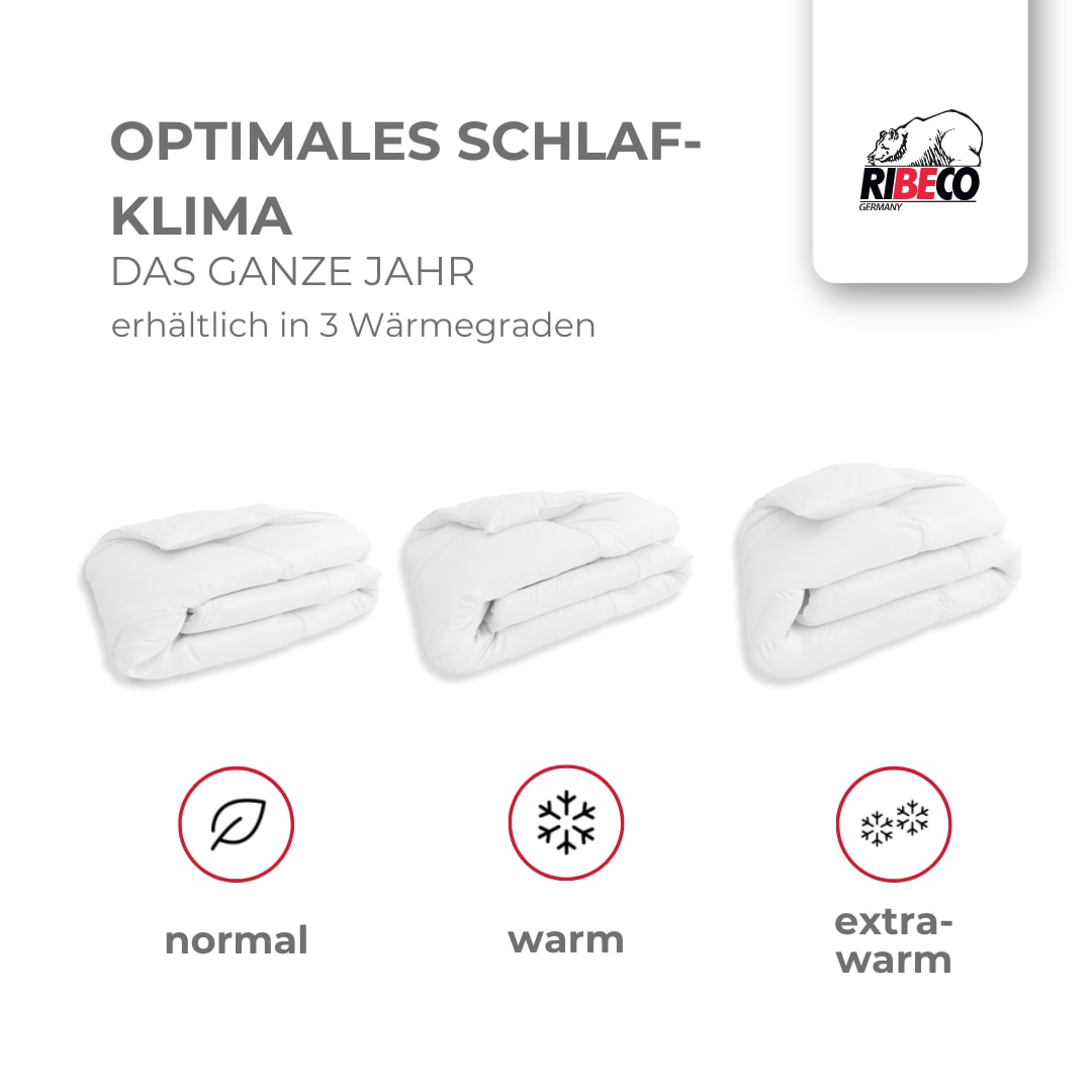 RIBECO Federbettdecke »Laram, Bettdecken für Sommer oder Winter, Made in Germany«, normal, Füllung 90% Federn, 10% Daunen, Bezug Baumwolle, (1 St.), Super Preis-Leistung, Bettdecke 135x200 cm oder 155x220 cm, Decke