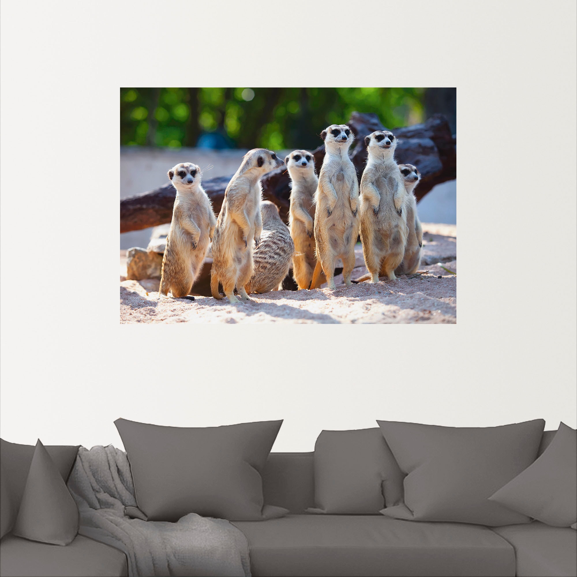 Artland Wandbild »Erdmännchenfamilie«, Wildtiere, (1 St.), als Poster, Wandaufkleber in verschied. Größen