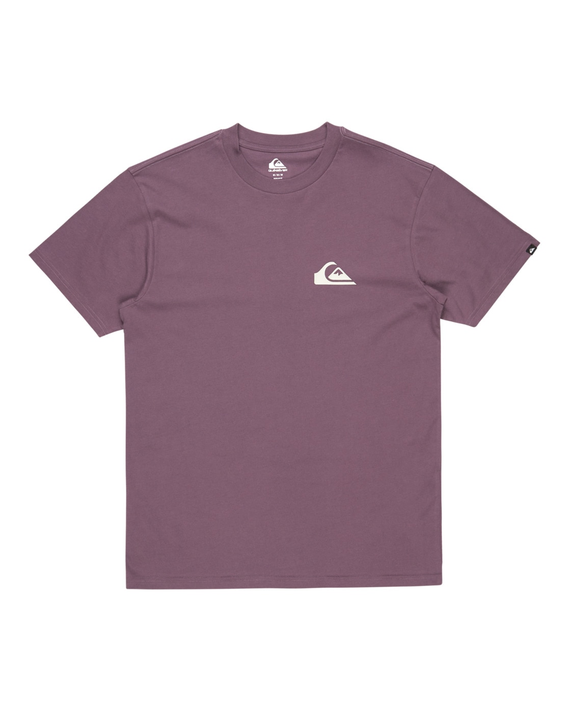 Quiksilver T-Shirt »Ev Mini Logo«