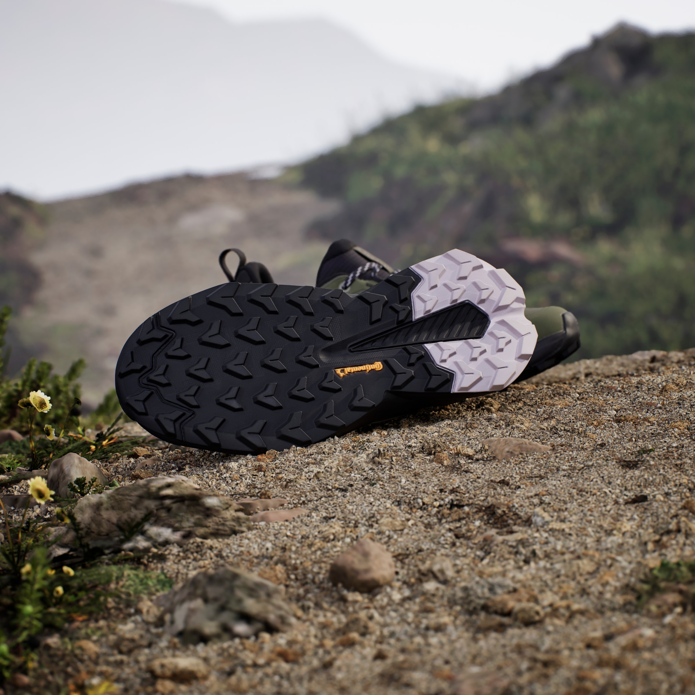 adidas TERREX Wanderschuh »TERREX TRAILMAKER 2.0 GORE-TEX«, wasserdicht