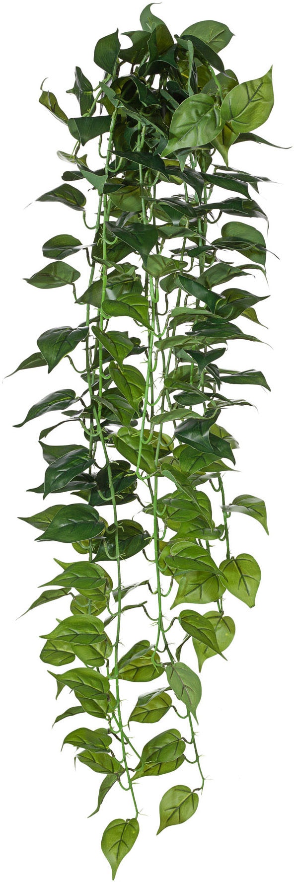 Creativ green Kunstranke »Philodendron-Hänger« auf Raten bestellen