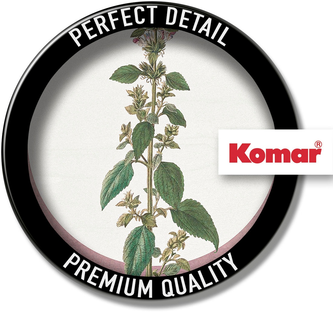Komar Bild »Menthe en Croissance«, Natur, (1 St.), Wandbild zur Dekoration - ohne Rahmen