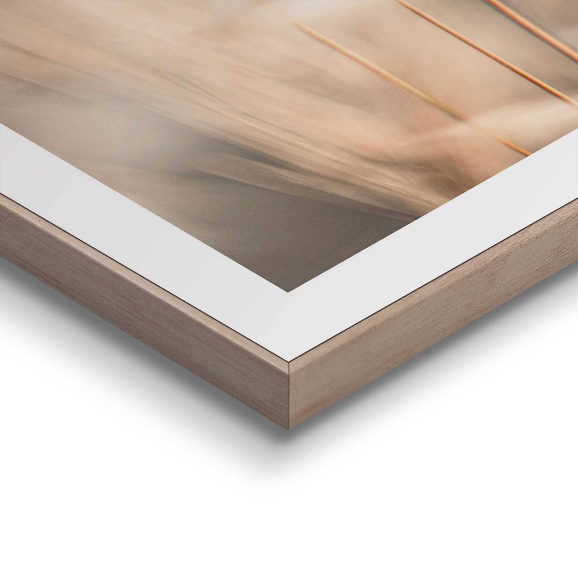 Reinders! Poster »Plumes« Wohnzimmer - Grasfedern - Beige - MDF - Blumen und Pflanzen - 30x40 cm