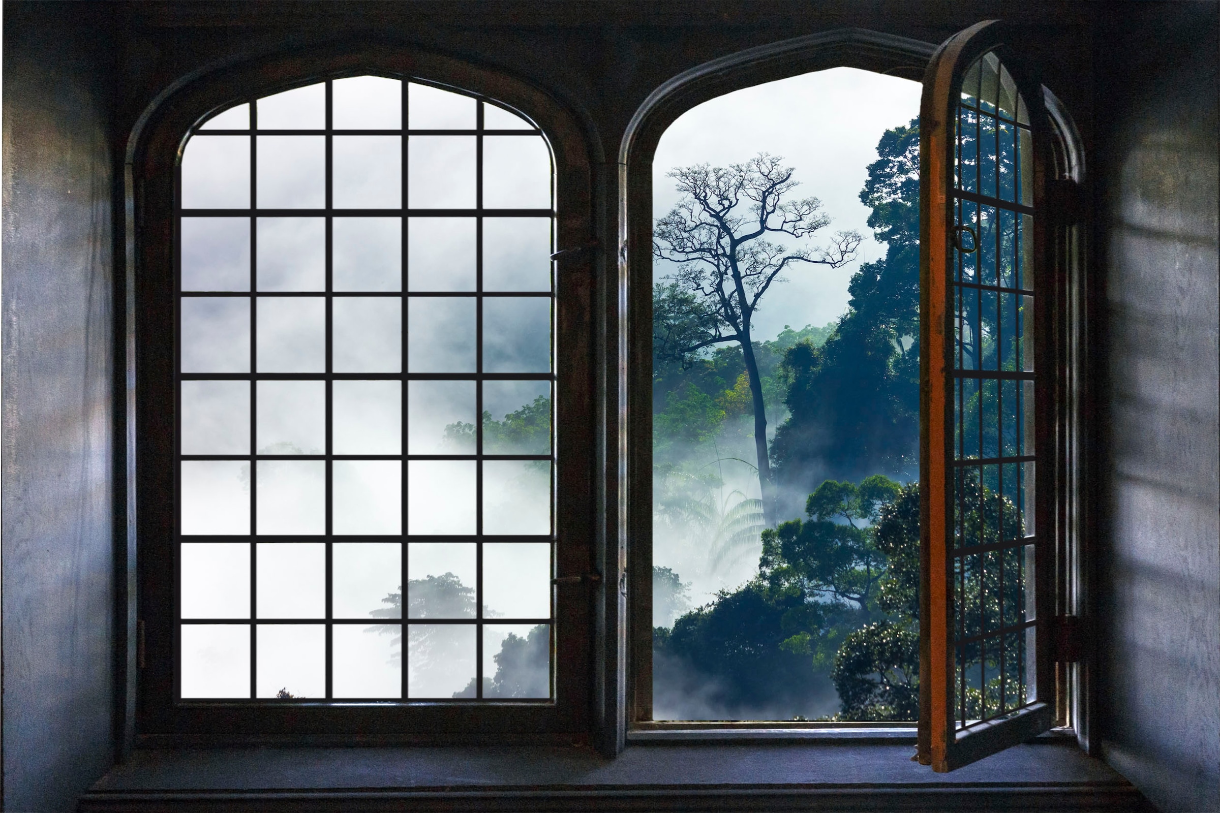 queence Wandsticker »Urwald« Wandsticker, Wandbild, selbstklebend, 3D, Fenster