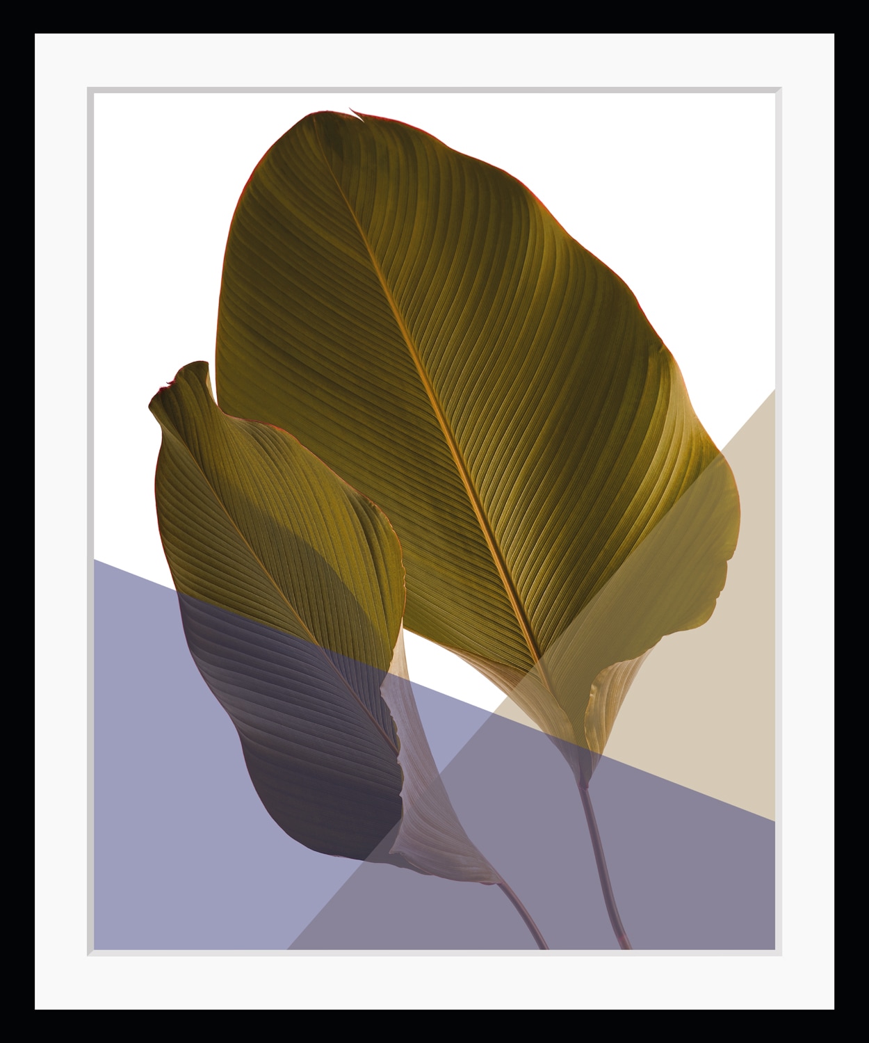 queence Bild »Moritz«, Blätter-Abstrakt-Kunst-Figuren-Pflanzen-Pflanzenbilder, HD Premium Poster-Druck inkl. Holzrahmen