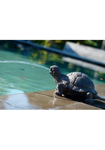 Ubbink Wasserspeier »Schildkröte«, BxLxH: 18x14x21 cm kaufen