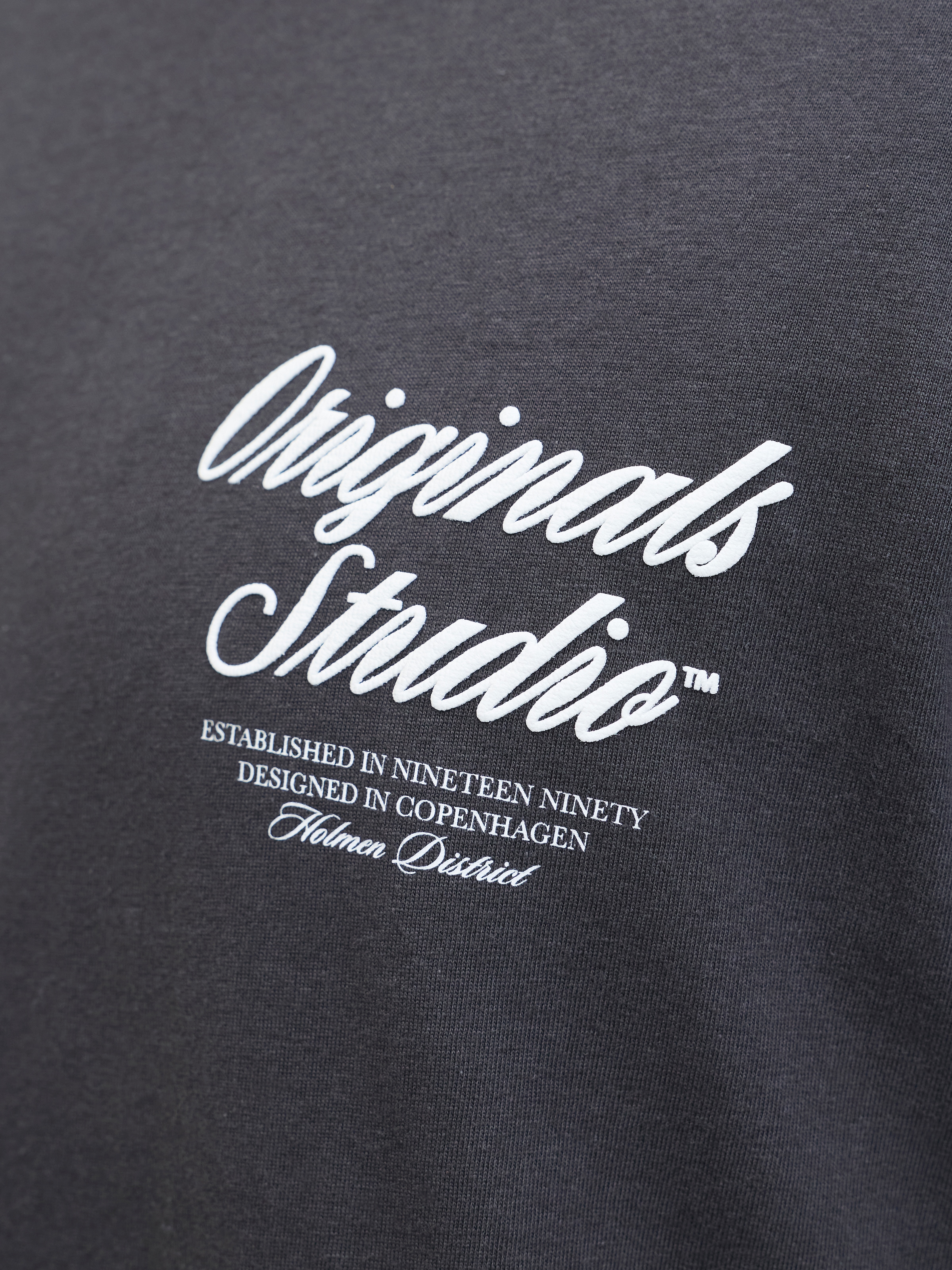 Jack & Jones PlusSize Kurzarmshirt »JORNORREBRO TYPO TEE SS CREW NECK  PLS« Baumwolle, regular fit