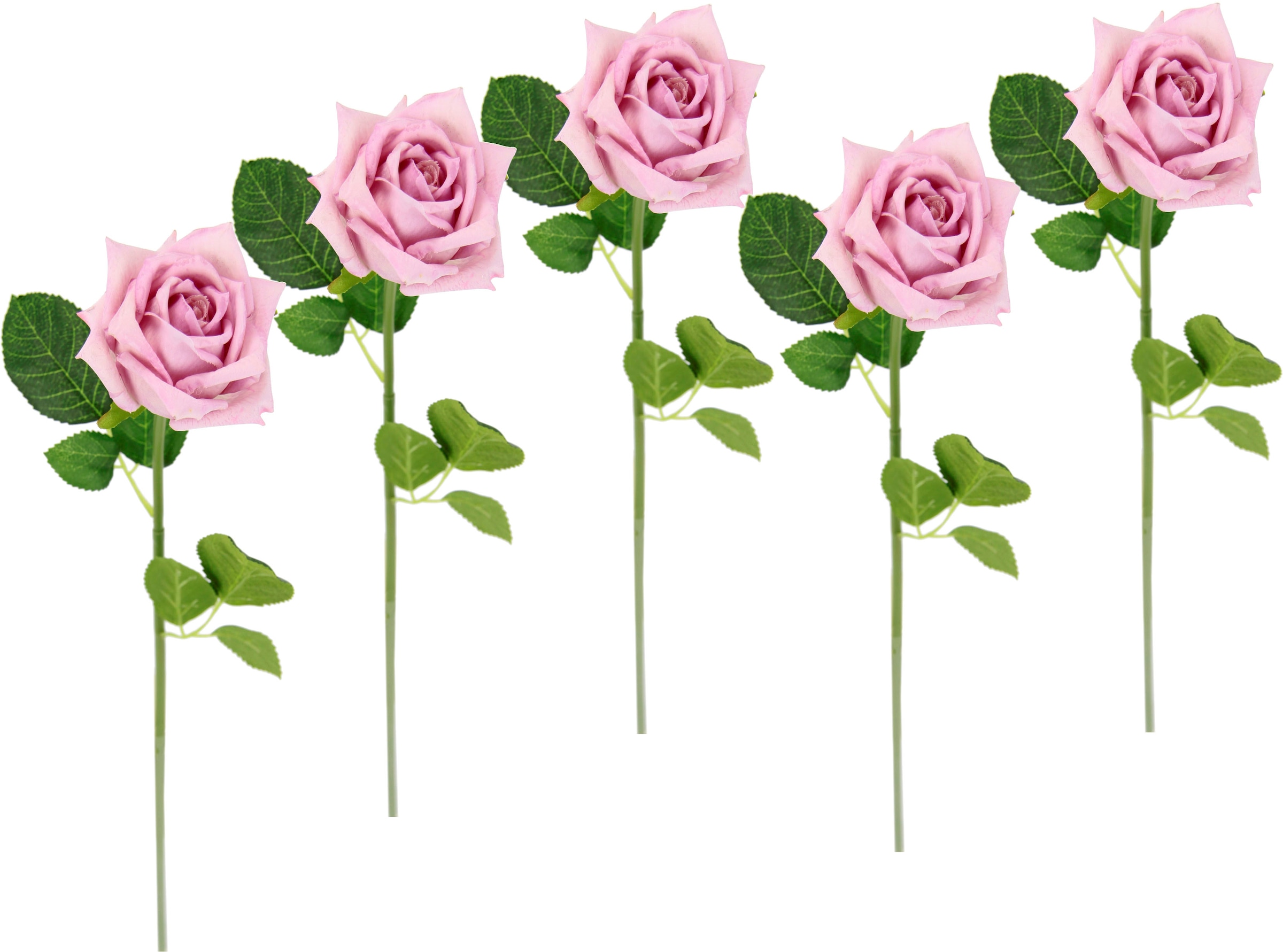 bestellen Rosen, Set »Rose«, Bouquet, Kunstrose Rechnung I.GE.A. Kunstblume künstliche 5er auf Kunstzweig, Seidenrosen,
