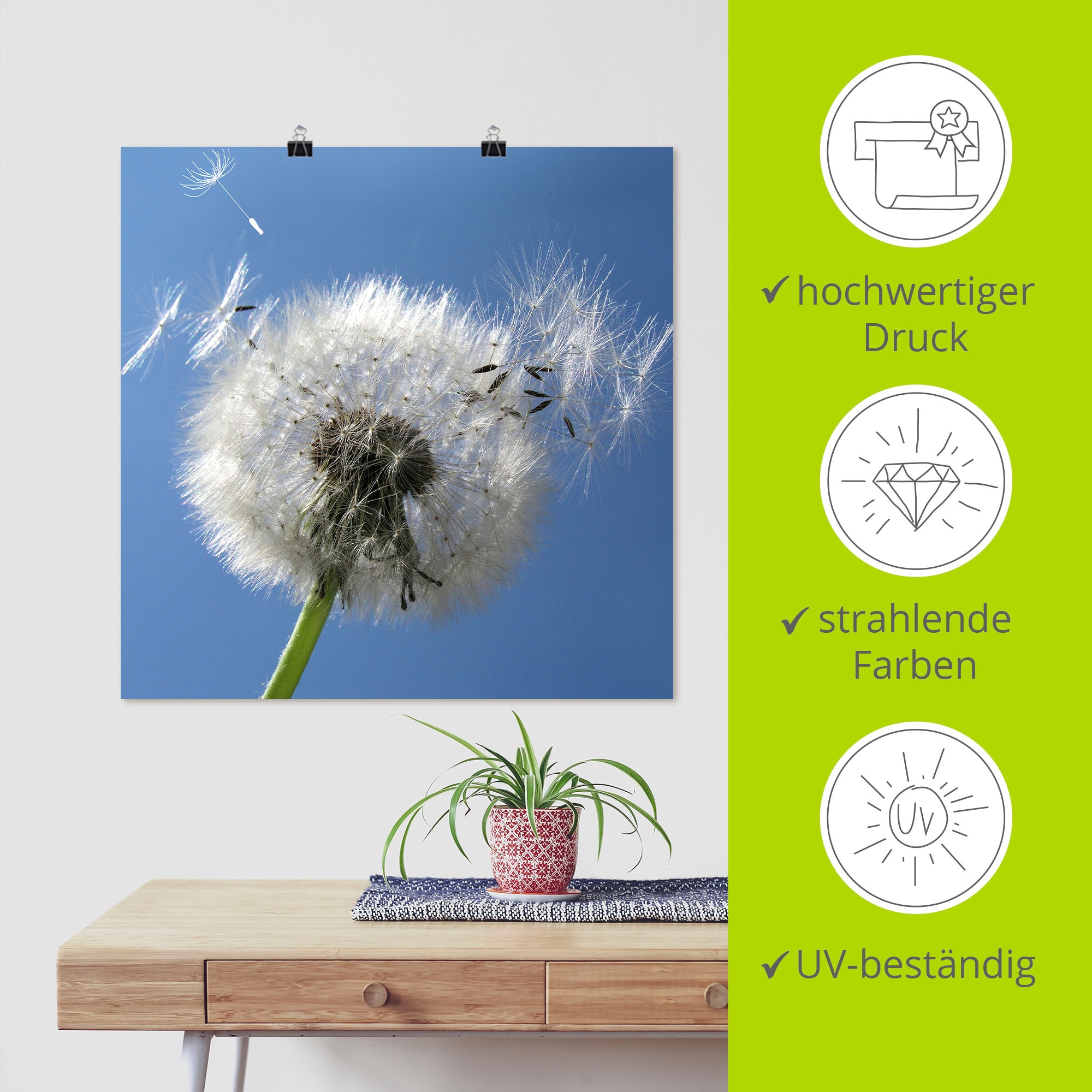 Artland Wandbild »Pusteblume« Blumen 1 Stk. tlg. als Leinwandbild, Poster in verschied. Größen