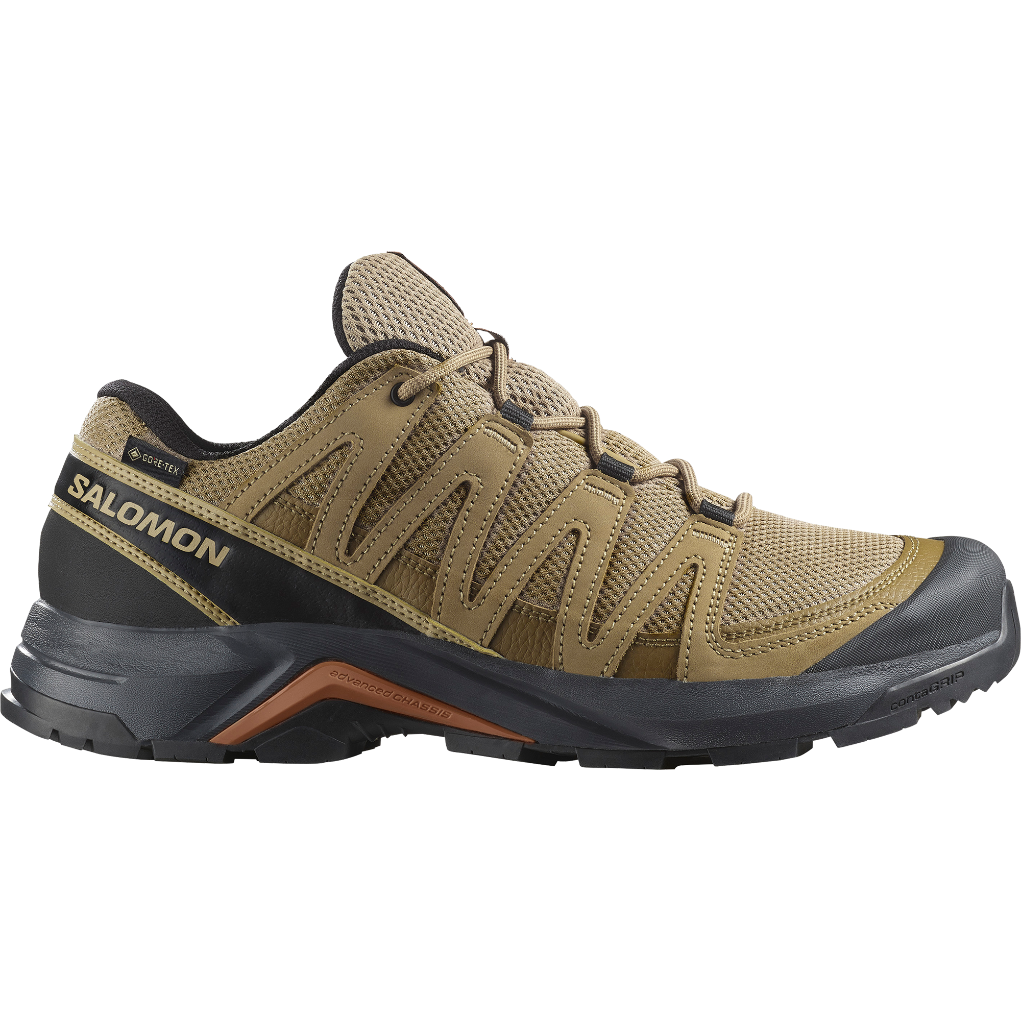 Salomon Wanderschuh »X-ADVENTURE RECON GORE-TEX«, wasserdicht
