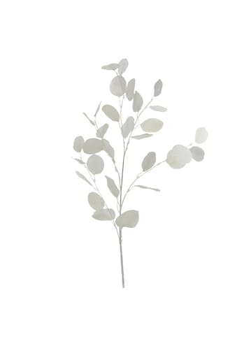 andas Trockenblume »Tjärö«, (Set, 2 St.), Eukalyptus, Höhe 80cm, 2er Set kaufen