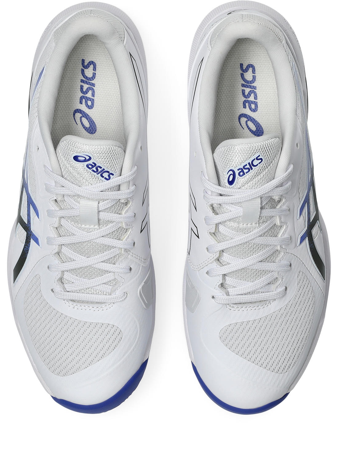 Asics Tennisschuh »SOLUTION SWIFT FF 2 CLAY«