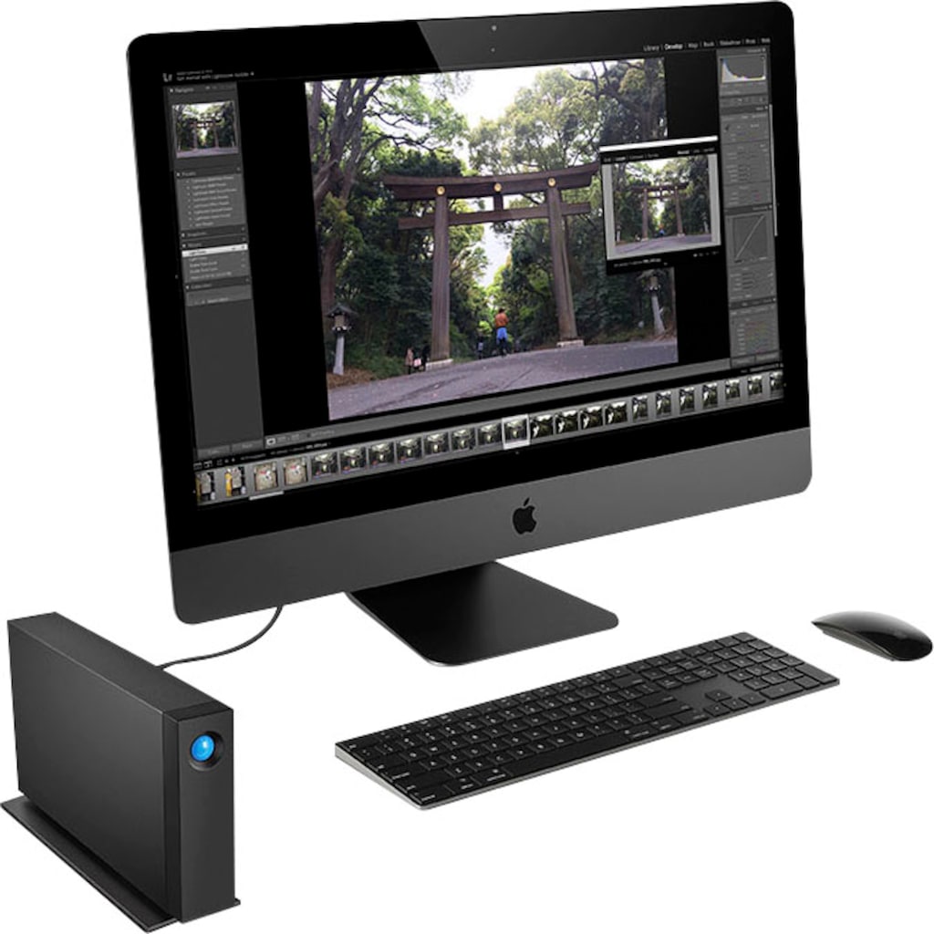 LaCie externe HDD-Festplatte »d2 Professional«, Anschluss USB-C
