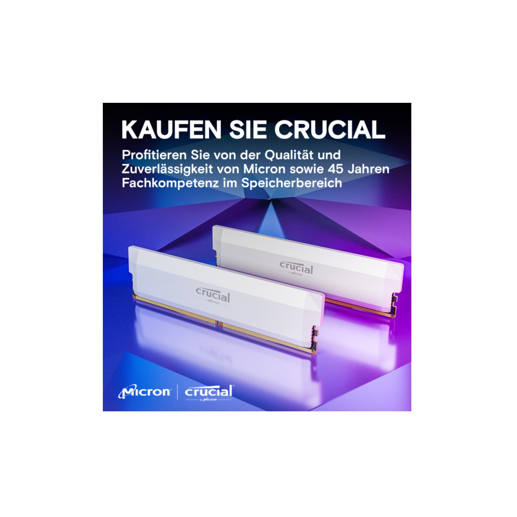Crucial Arbeitsspeicher »CP2K16G60C36U5W«