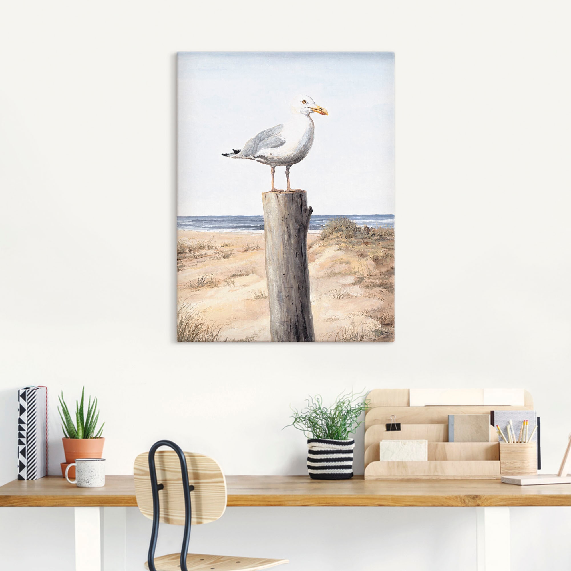 Artland Wandbild »Möwe«, Vögel, (1 St.), als Alubild, Outdoorbild, Leinwandbild, Poster, Wandaufkleber