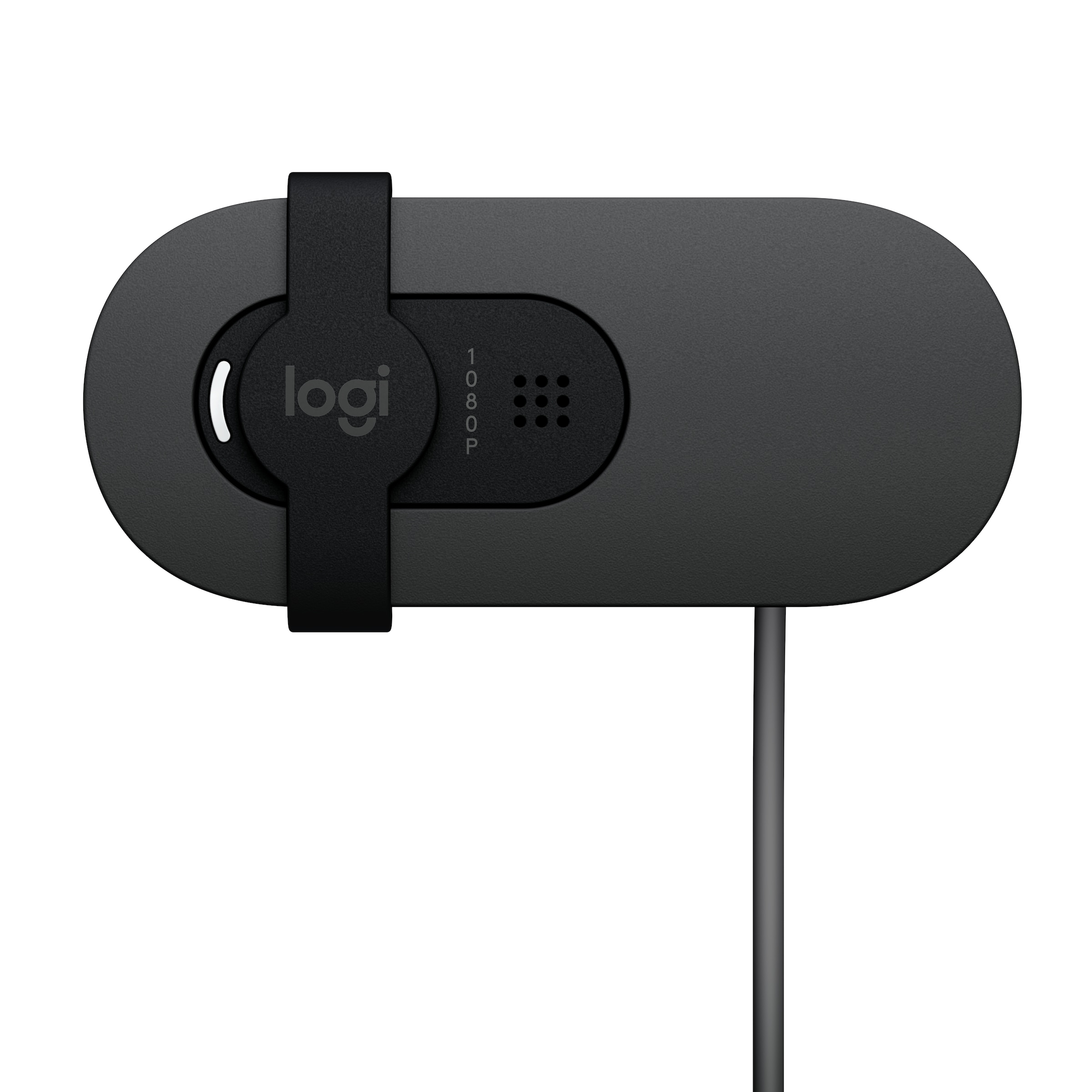 Logitech Camcorder »Brio 100«
