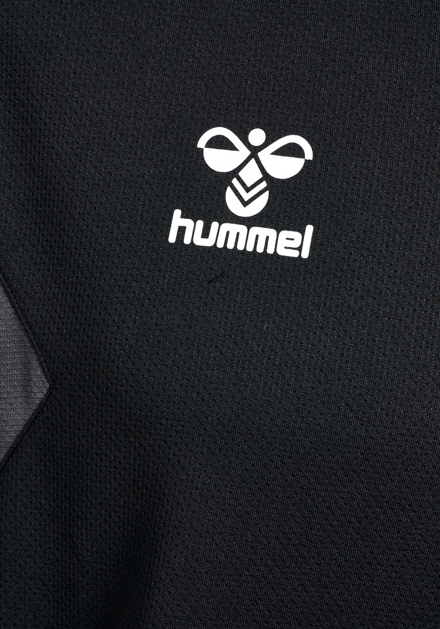 hummel Hoodie »HMLAUTHENTIC PL HOODIE«