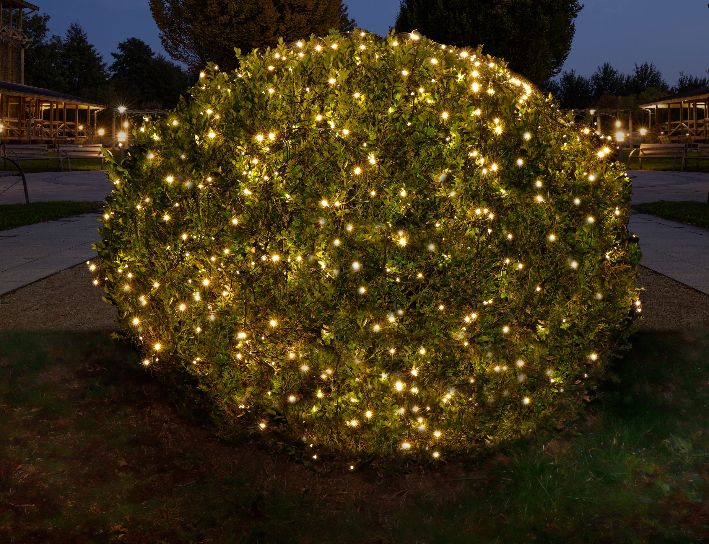 Star-Max LED-Lichternetz »Weihnachtsdeko zahlreichen den bequem für LEDs, Außenbereich aussen«, kaufen warmweißen mit